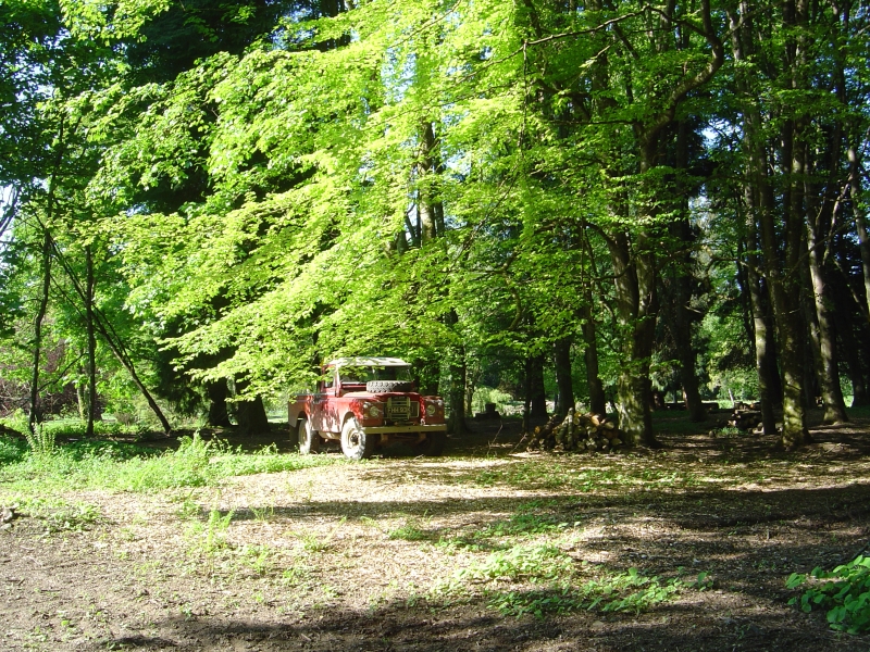 2012-05-26 011